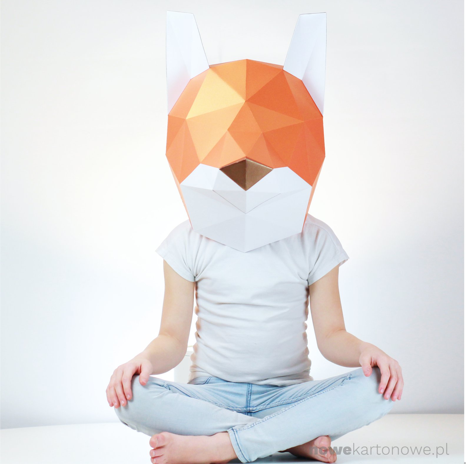 nowekartonowe - fox 03